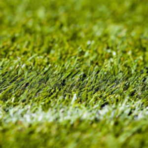 Cỏ sân bóng đá là cỏ gì? Tại sao nó quan trọng?